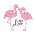 Love Flamingos. Hand drawn vector illustration of two flamingos kissing with necks in the shape of a heart. Royalty Free Stock Photo