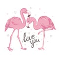 Love Flamingos. Hand drawn vector illustration of two flamingos kissing with necks in the shape of a heart. Royalty Free Stock Photo