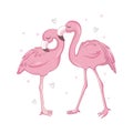 Love Flamingos. Hand drawn vector illustration of two flamingos kissing with necks in the shape of a heart. Royalty Free Stock Photo