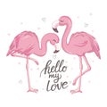 Love Flamingos. Hand drawn vector illustration of two flamingos kissing with necks in the shape of a heart. Royalty Free Stock Photo