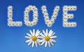 Love flowers Royalty Free Stock Photo