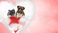 In love French Bulldog and Boxer sitting on love cloud Royalty Free Stock Photo