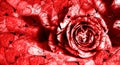 a rose of love against the background of a thousand hearts for Valentine\'s Day