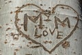 Love graffiti on a tree