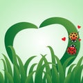 Love greeting card with two ladybugs crawl on the grass Royalty Free Stock Photo