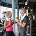Love has no age limit concept, mature couple in gym Royalty Free Stock Photo