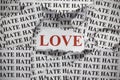 Love and Hate