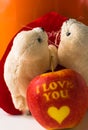 love heart with apple i love you Royalty Free Stock Photo