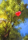 Love heart balloon stuck in a tree branches