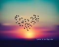 Love heart bird sign card in sky sunset valentines day.