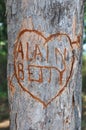 Love heart with message in a tree Royalty Free Stock Photo