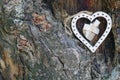 Love Heart Tree Trunk Background Texture