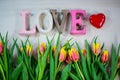 Love with heart and tulips, for Valentine`s Day, birthday, card Royalty Free Stock Photo