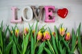 Love with heart and tulips, for Valentine`s Day, birthday, card Royalty Free Stock Photo