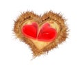 Love hearts valentines red chestnuts nest isolated for