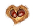 love hearts valentines red chestnuts nest isolated for