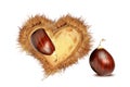 love hearts valentines red chestnuts nest isolated for