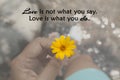 Love inspirational quote - Love is not what you say. Love is what you do. With hand of person holding tiny yellow daisy flower.