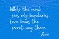 Love knows Rumi