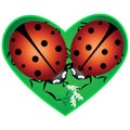 Love ladybugs