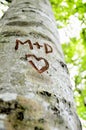 Love letter carved on a tree