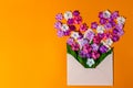 Love - letter with flower, romantic message on orange wooden background. Valentines day cards