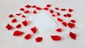 Love letter for St. Valentine\'s day and rose petals, copy scape for text, white background Royalty Free Stock Photo