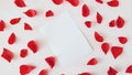 Love letter for St. Valentine\'s day and rose petals, copy scape for text, white background Royalty Free Stock Photo