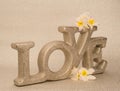 Big gold letters LOVE on silver background