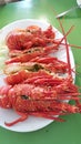 Love lobsters Royalty Free Stock Photo