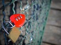 Love lock Royalty Free Stock Photo