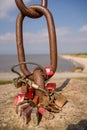 love locks on a chain link Royalty Free Stock Photo