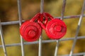 Love Locks on a Fence Royalty Free Stock Photo