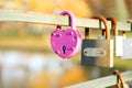 Love locks, Love. Nature background. Valentine's Day Royalty Free Stock Photo