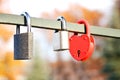 Love locks, Love. Nature background. Valentine's Day Royalty Free Stock Photo