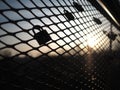 Love locks padlocks on bridge fence during sunset warm color Royalty Free Stock Photo