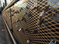 Love locks padlocks on bridge fence during sunset warm color Royalty Free Stock Photo