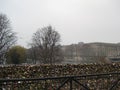 Love locks on the Pont des Arts, Paris