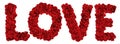 LOVE Made of Roses Royalty Free Stock Photo