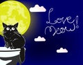 Love meow. A loving cute cat Royalty Free Stock Photo