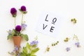 Love message card handwriting with purple flower amaranth in cone