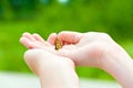 Love the nature. Girl hands holding a small butterfly. Royalty Free Stock Photo