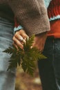 Love and nature people environment concept lifestyle. Close up of mid section couple hugging in relationship holding a big green