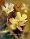 Love never fails - Inspirational verse with flowers background