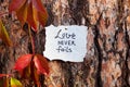 Love never fails - lettering on beautiful background on nature, biblical verce and religion concept