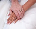 Love. Newly weds holding hands after wedding Royalty Free Stock Photo