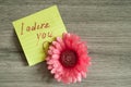 love note Royalty Free Stock Photo