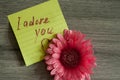 Love note I Adore you Royalty Free Stock Photo