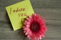Love note I adore you Royalty Free Stock Photo