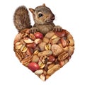 Love Of Nuts Royalty Free Stock Photo